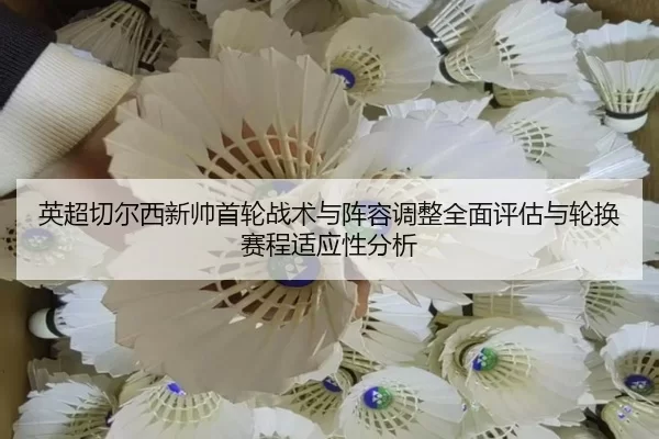 ying-chao-qie-er-xi-xin-shuai-shou-lun-zhan-shu-yu-zhen-rong-tiao-zheng-quan-mian-ping-gu-yu-lun-huan-sai-cheng-shi-2-307.jpg