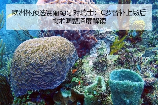ou-zhou-bei-yu-xuan-sai-pu-tao-ya-dui-rui-shi-luo-ti-bu-shang-chang-hou-zhan-shu-tiao-zheng-shen-du-jie-du-2-687.jpg