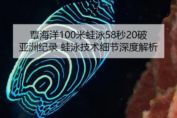 覃海洋100米蛙泳58秒20破亚洲纪录 蛙泳技术细节深度解析